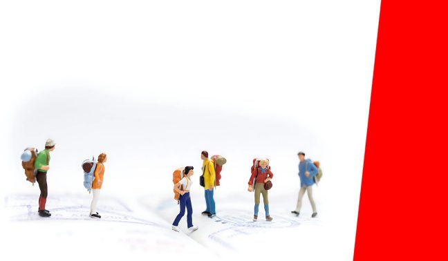 Corporate Travel Bookings
